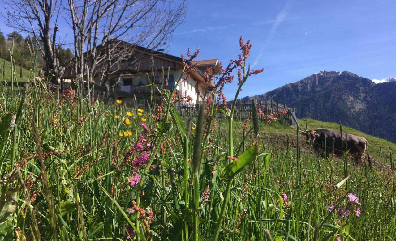 Knappnhof Campo di Trens Exterior photo